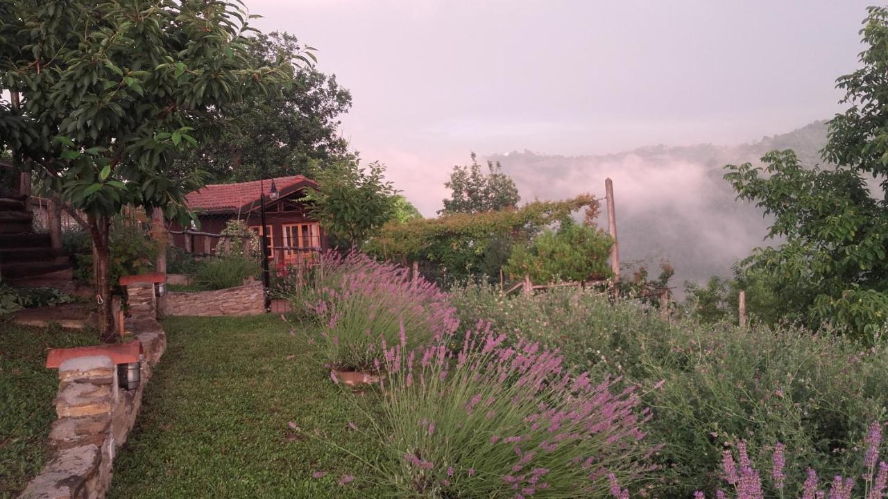 Bed and Breakfast Magiche Langhe Paroldo Экстерьер фото