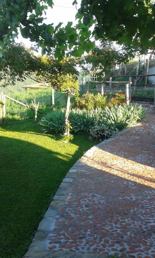 Bed and Breakfast Magiche Langhe Paroldo Экстерьер фото